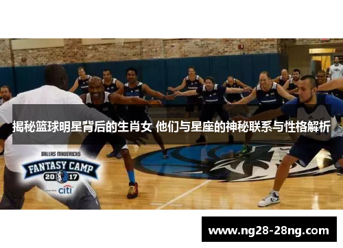 揭秘篮球明星背后的生肖女 他们与星座的神秘联系与性格解析